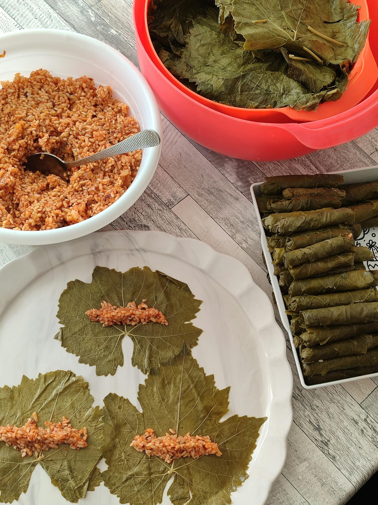 Homemade stuffed grape leaves preparation with rice filling on leaves.